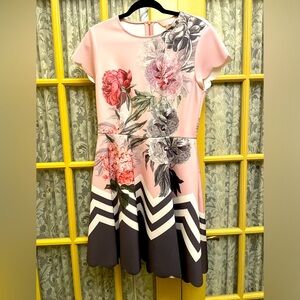 Size 3 (US 6/8) Ted Baker pink and gray floral dress. Hidden pockets.
